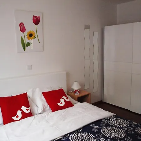 Apartment Nova *